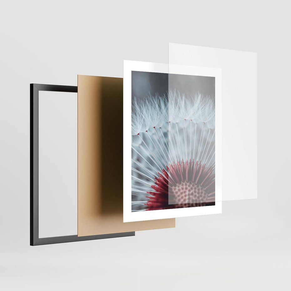 Plakat w ramie 40x50 - Dmuchawiec w Detalu - dmuchawiec, zdjęcie makro - rama czarna