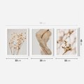 Zestaw obrazy w ramie 30x40 galeria - Suche, kwiaty, pampas, trawy, boho - rama biała