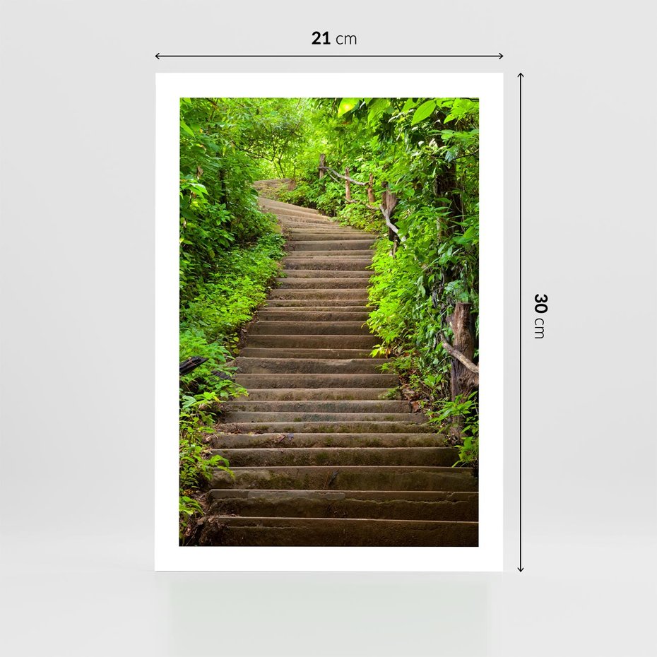 Plakat bez ramy 21x30 - Magia Leśnej Ścieżki - ścieżka, w lesie