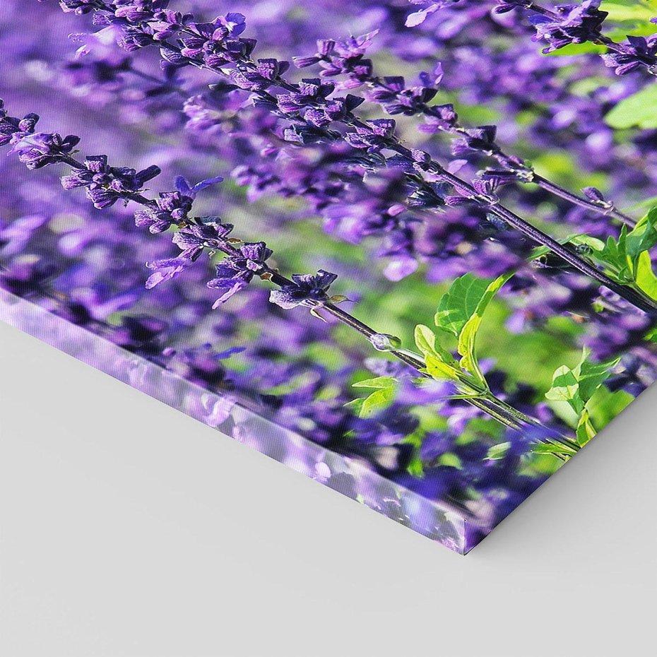 Obraz na płótnie 70x70 - Lawendowa Mgła - lawenda, kwiat