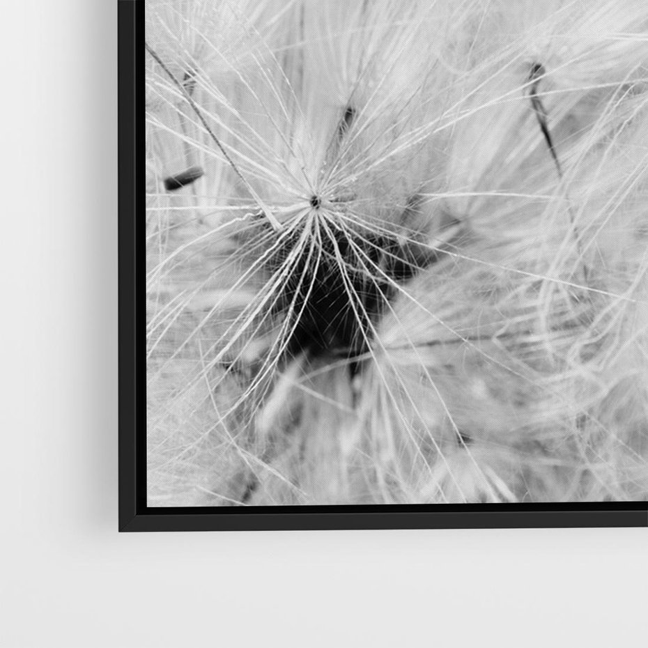 Obraz w ramie 70x50 - Zdmuchnięty Puch - dmuchawce, delikatne - rama czarna