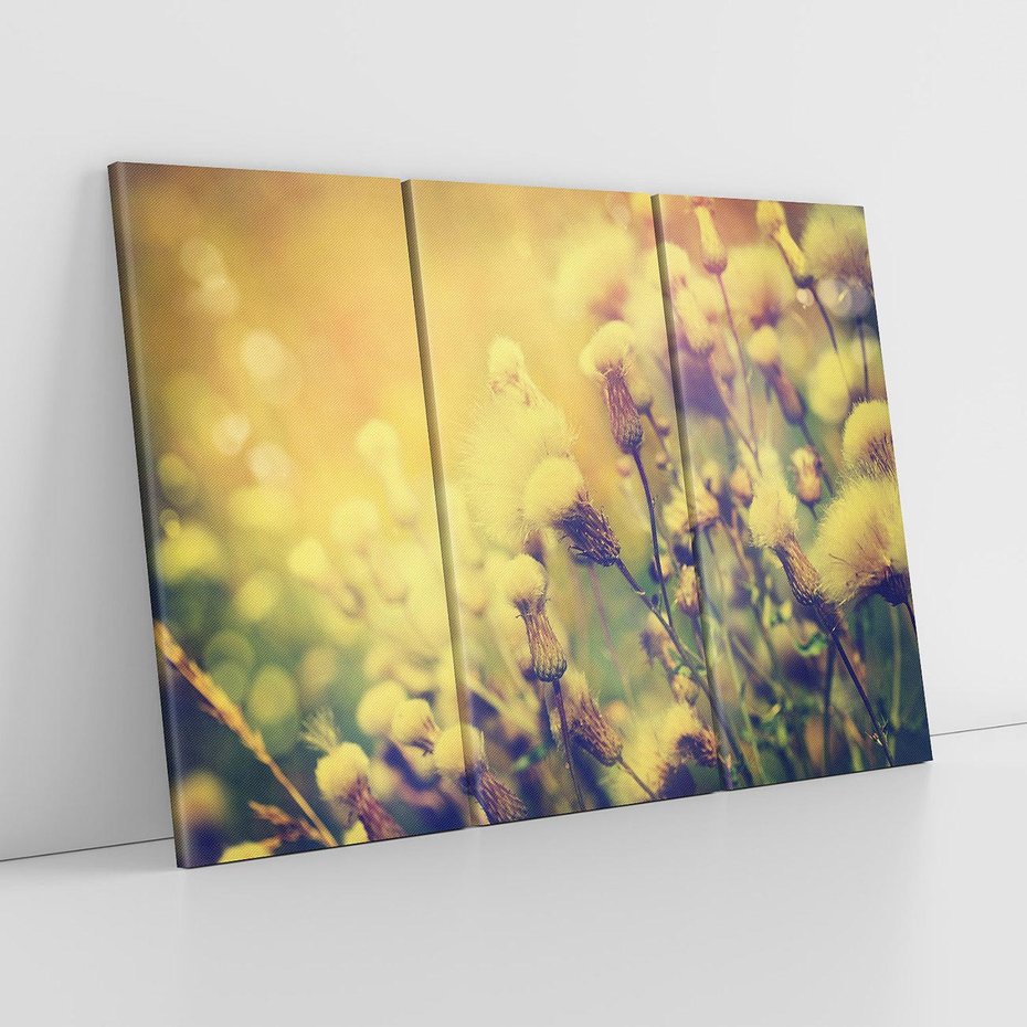 Obraz na płótnie 120x80 - Natura w pełnym rozkwicie - łąka, natura