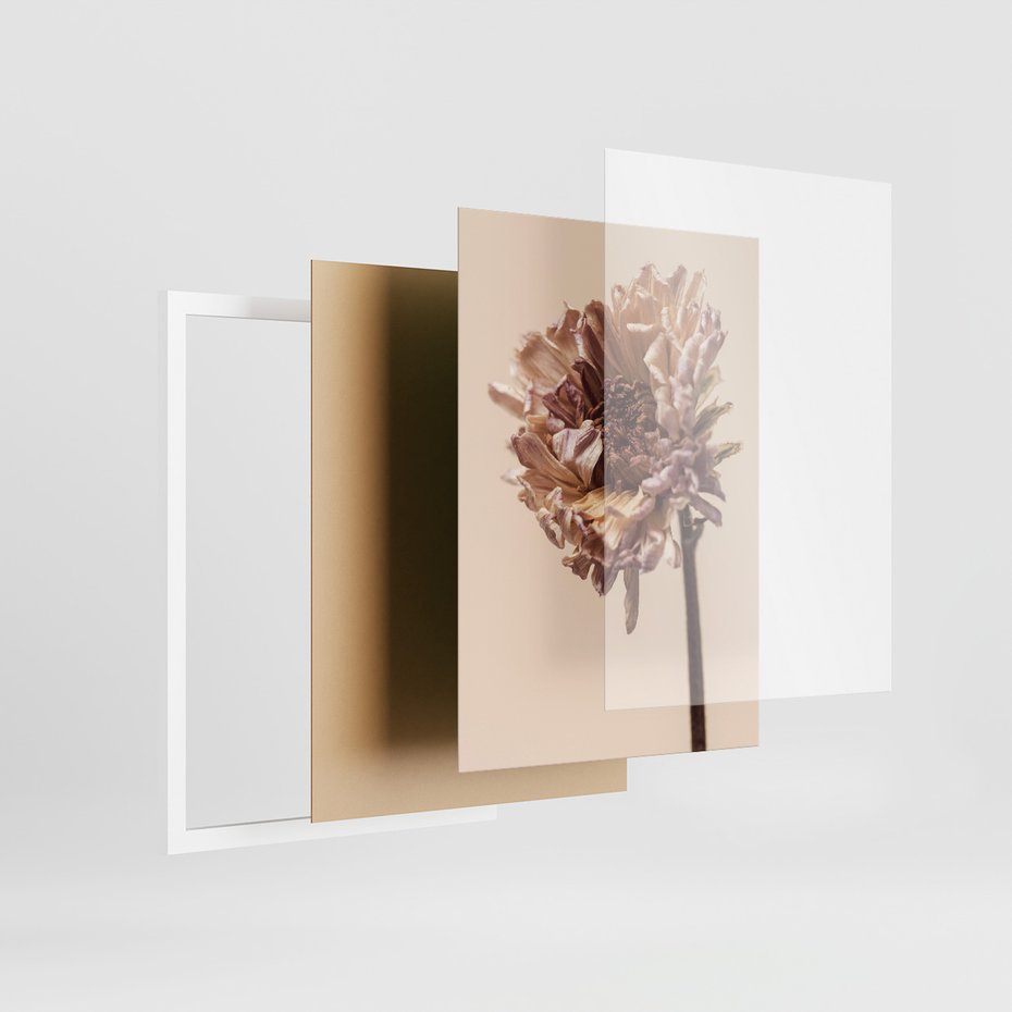 Zestaw obrazy w ramie 30x40 galeria - Suche, kwiaty, boho, minimalizm, płatki - rama biała