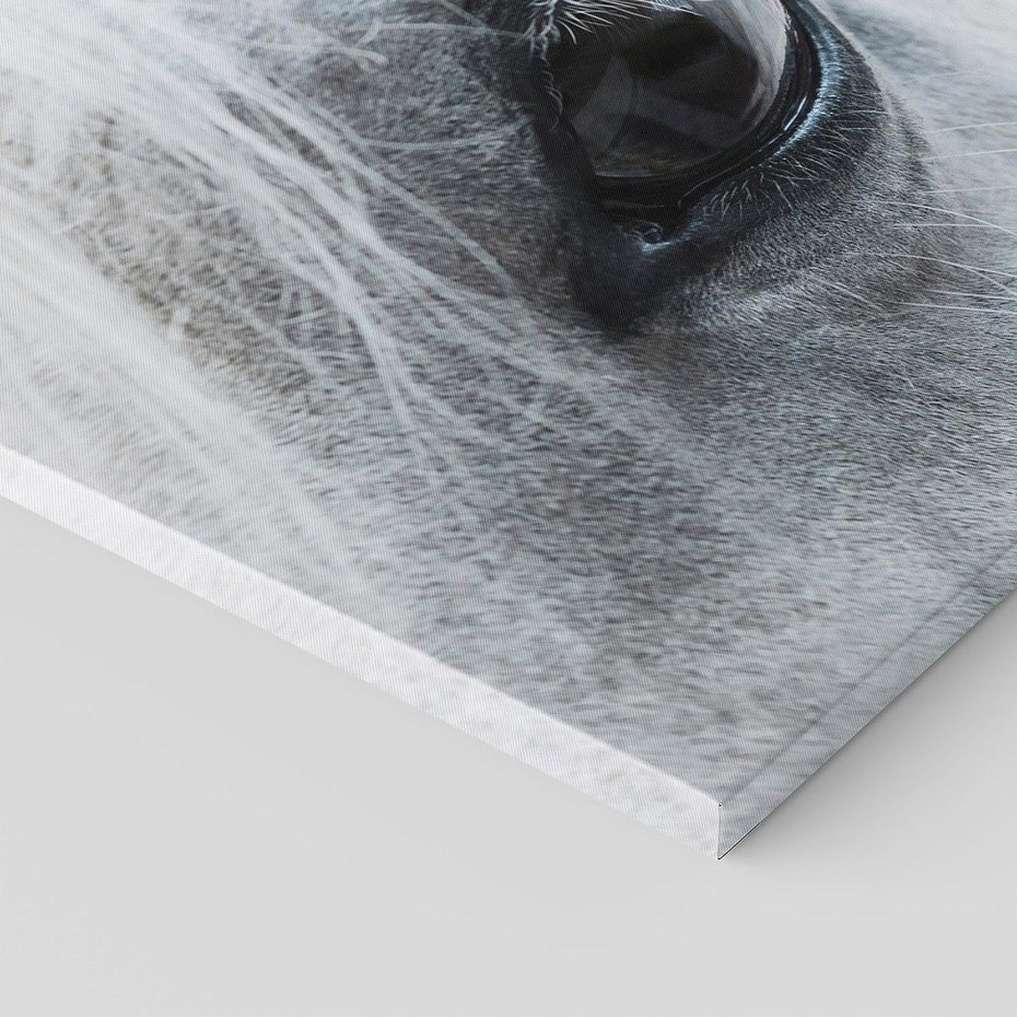 Obraz na płótnie 120x80 - Oko Mocy - czarno białe zdjęcie, zbliżenie makro na oko konia