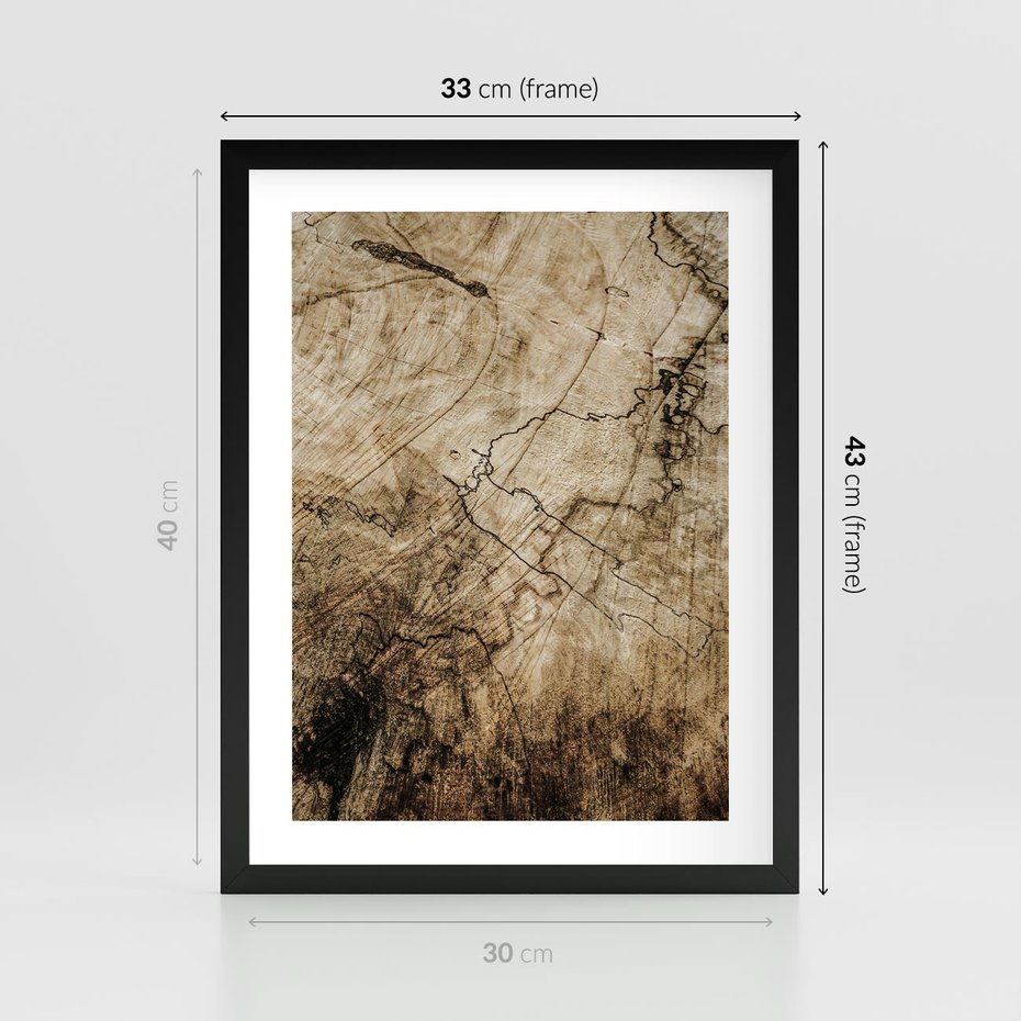 Plakat w ramie 30x40 - Słoje Natury - słoje drzewa, pieńdrzewa - rama czarna
