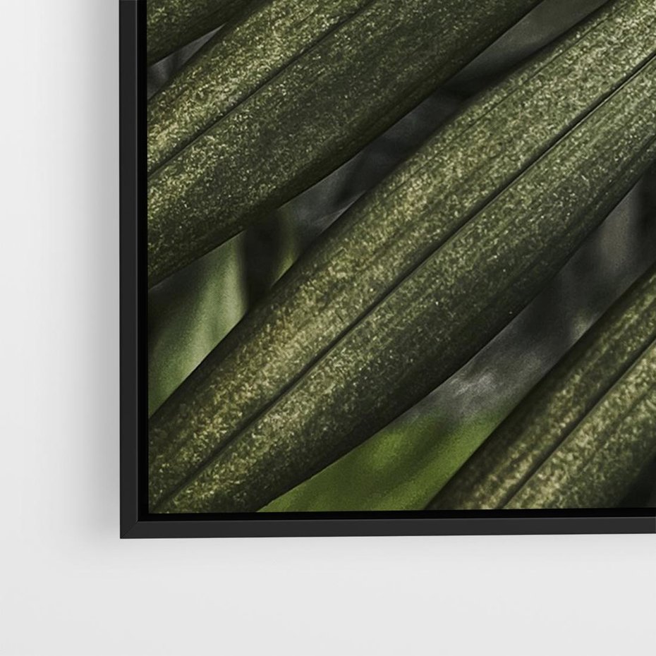 Obraz w ramie 70x50 - W Liściach Ukryte - zdjęcie, fotografia - rama czarna