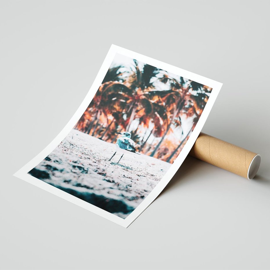 Plakat bez ramy 30x40 - Tropikalna Uroda: Plaża z Mewą - tropikalna plaża, mewa na piasku