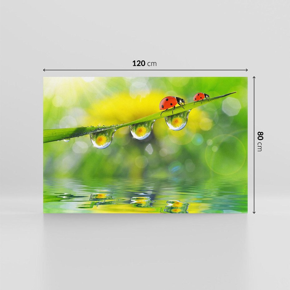 Obraz na płótnie 120x80 - Deszczowa Biedronka - biedronka, deszcz