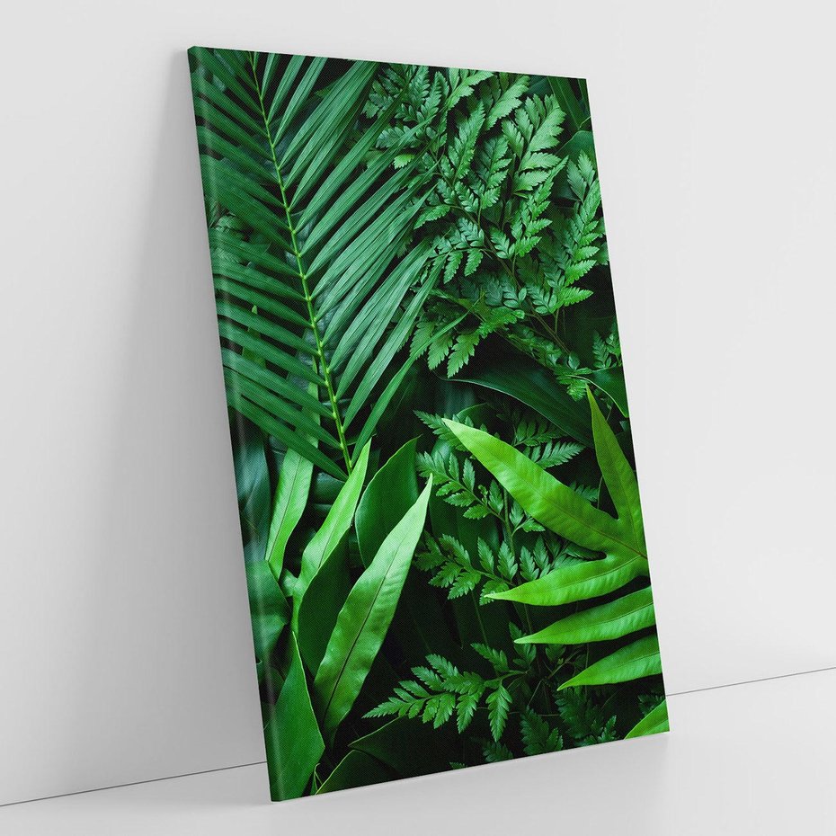 Obraz na płótnie 80x120 - Monstera Liście Fantazja - monstera, liście