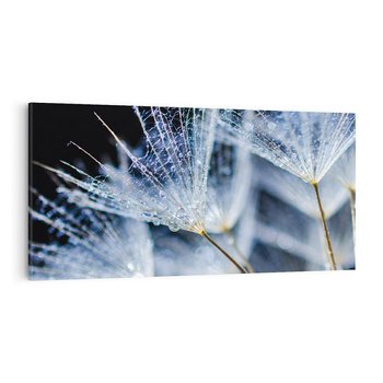 Obraz na płótnie 140x70 - Makro piękno dmuchawców - makro, dmuchawce