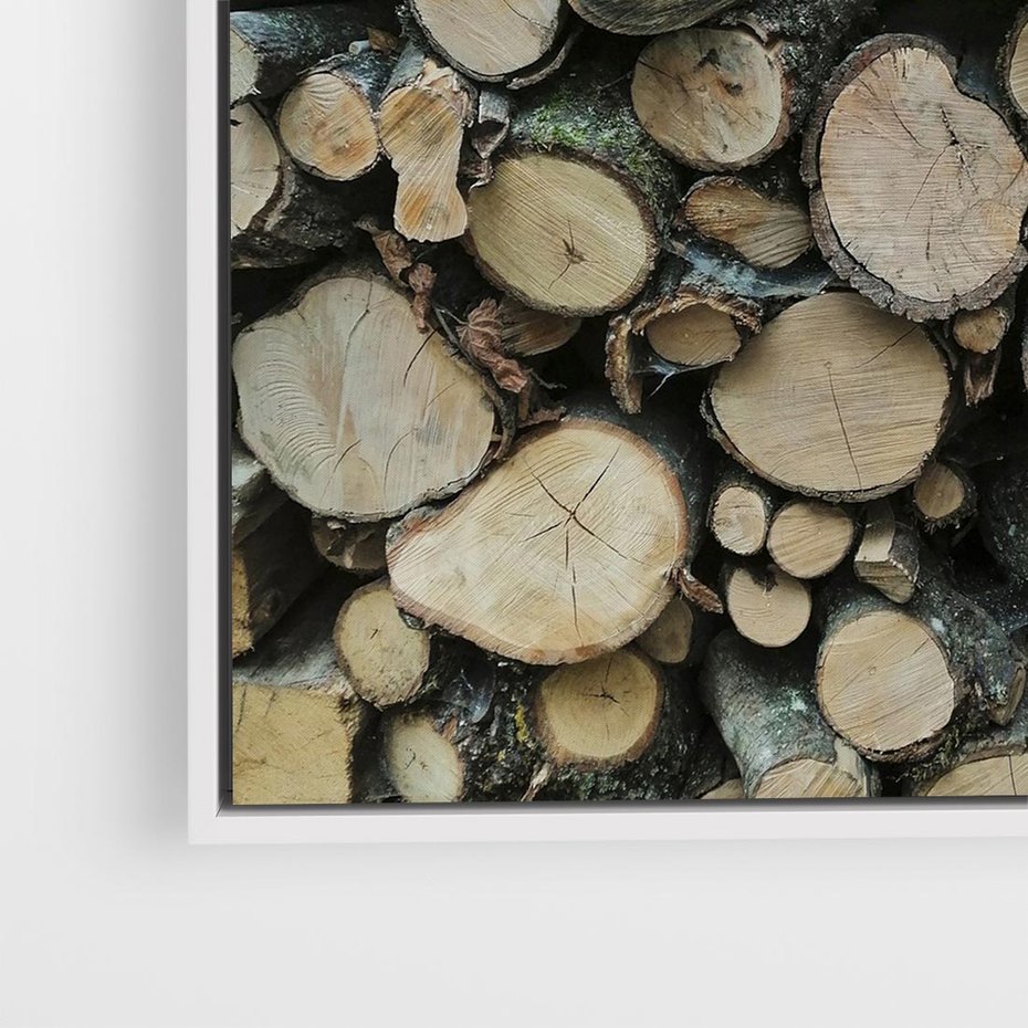 Obraz w ramie 50x50 - Bliskość Natury - drewno, las - rama biała