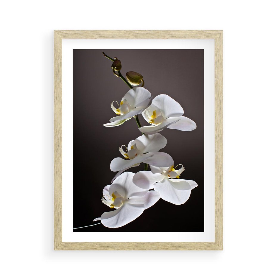 Plakat w ramie 50x70 - SPA: harmonia z kwiatami - spa, kwiaty - rama drewno