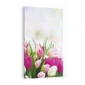 Obraz na płótnie 80x120 - Tulipany w pełnym rozkwicie - tulipany, kwiaty