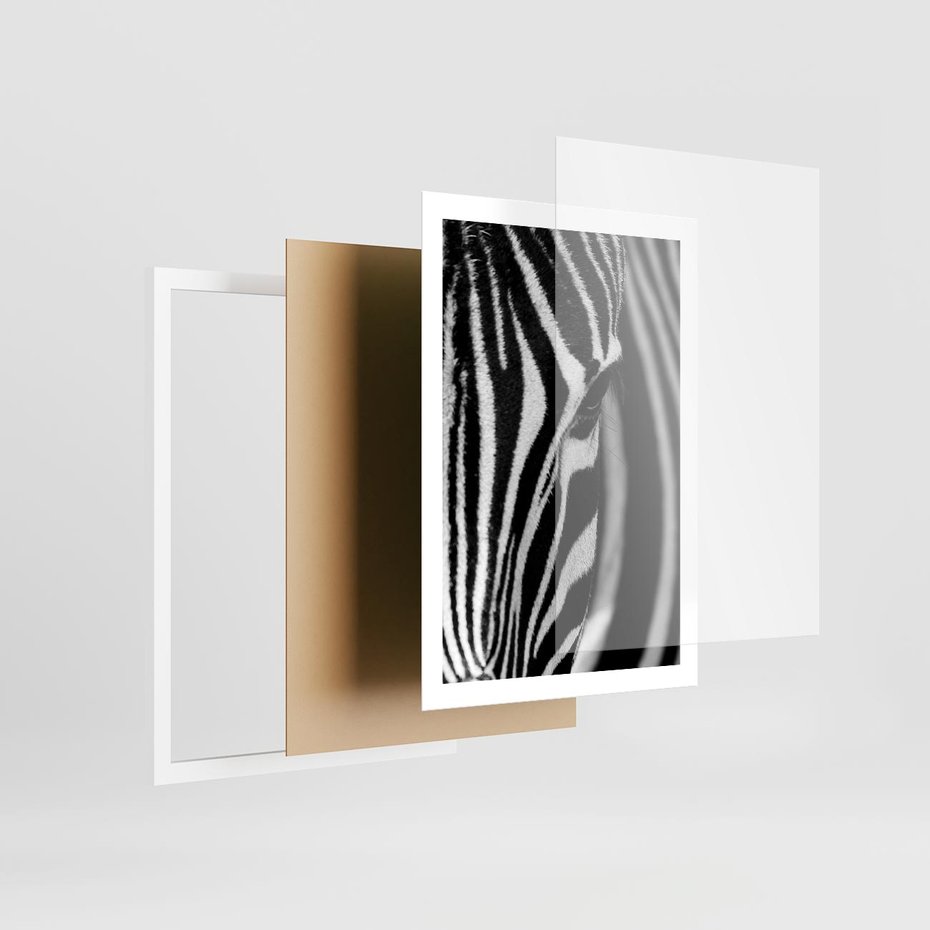 Plakat w ramie 50x70 - Pasy Zebr - zebra, paski - rama biała