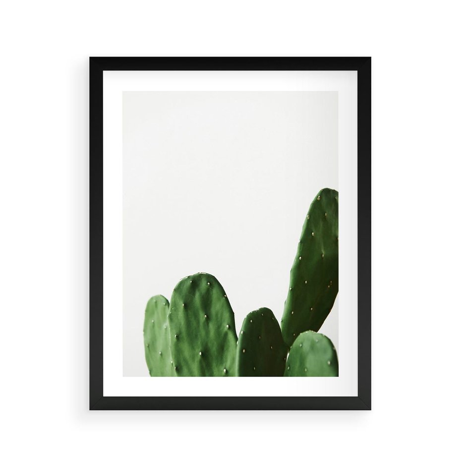 Plakat w ramie 40x50 - Minimalizm Natury - kaktus, zbliżenie - rama czarna