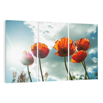 Obraz na płótnie 120x80 - Kwiaty pod niebem: piękno natury - kwiaty, niebo