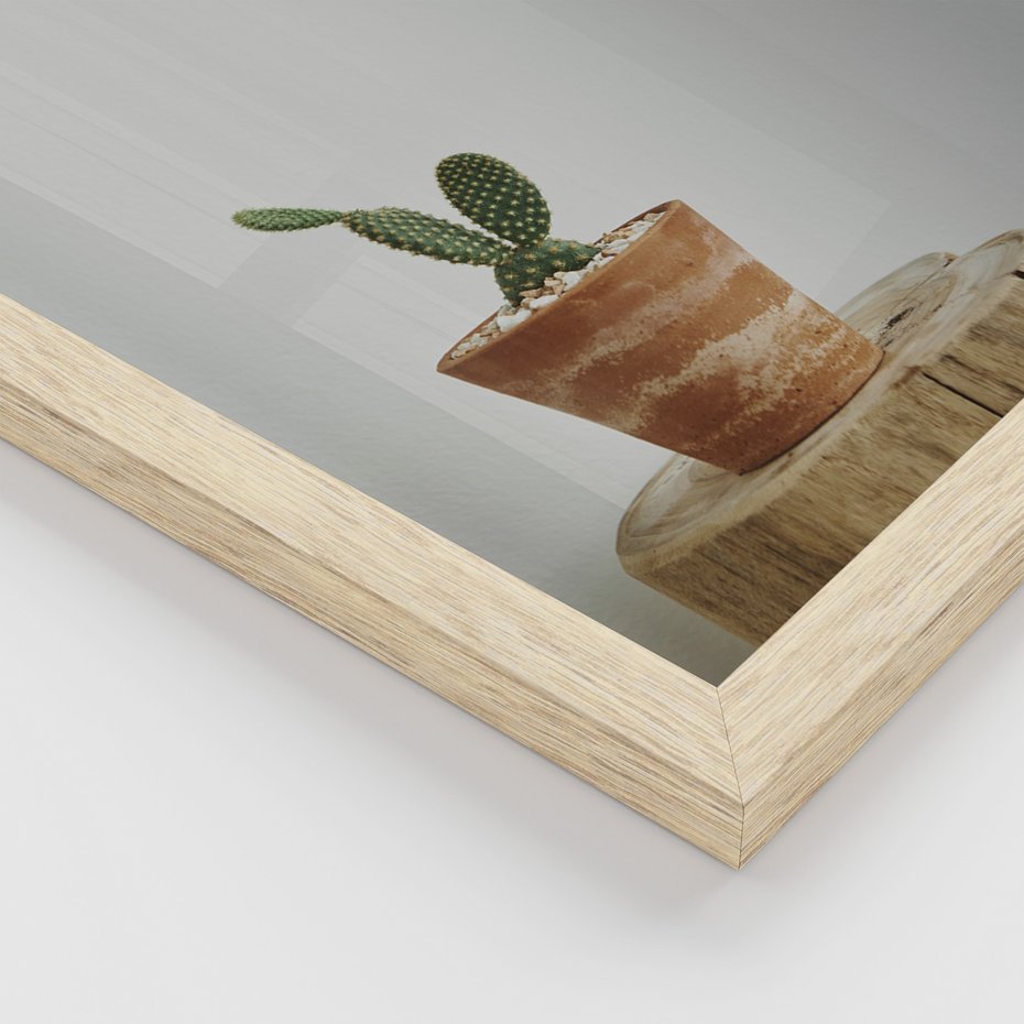 Zestaw obrazy w ramie 30x40 galeria - Kaktusy, w, doniczkach, boho - rama drewno