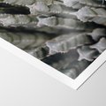 Plakat bez ramy 30x40 - Oaza Natury - sukulenty, kaktusy