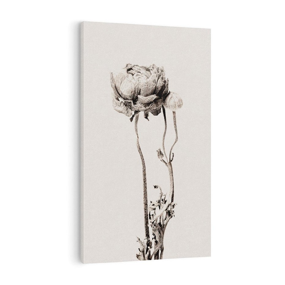 Obraz na płótnie 70x100 - Cień Kwiatowej Delikatności - kwiat, cień