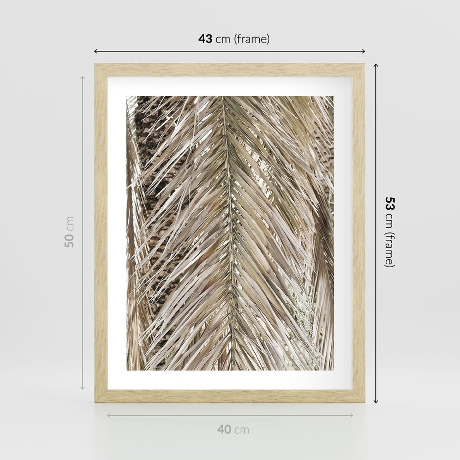 Plakat w ramie 40x50 - Boho Urok Palmy: Zbliżenie Natury - sucha palma, zbliżenie - rama drewno