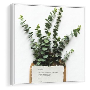 Obraz w ramie 80x80 - Eukaliptusowa harmonia - eukaliptus, liście - rama biała