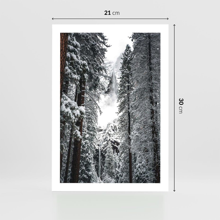 Plakat bez ramy 21x30 - Cicha Magia Zimowego Lasu - zimowy las, ośnieżone drzewa