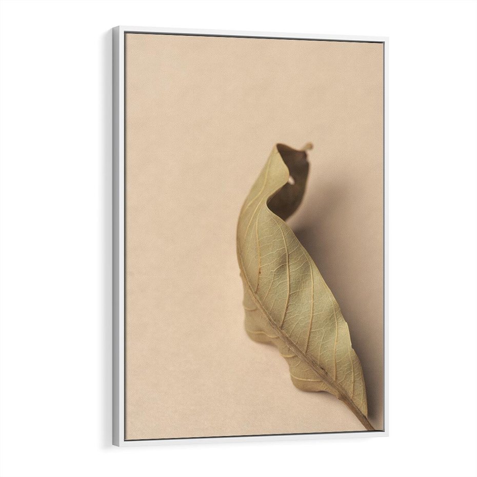 Obraz w ramie 80x120 - Boho suszone liście - suszony, liść - rama biała
