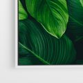 Obraz w ramie 70x100 - Palma Liście Kwiat - palma, liście - rama biała