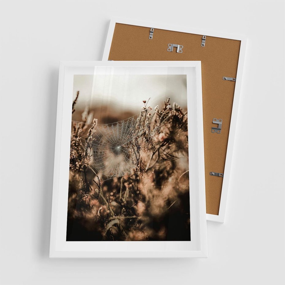 Plakat w ramie 50x70 - Jesienny Mikrokosmos - suchetrawy, jesienny klimat - rama biała