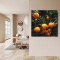 Obraz na płótnie 50x50 - Mandarynki Drzewko Urodzaju - mandarynki, drzewko