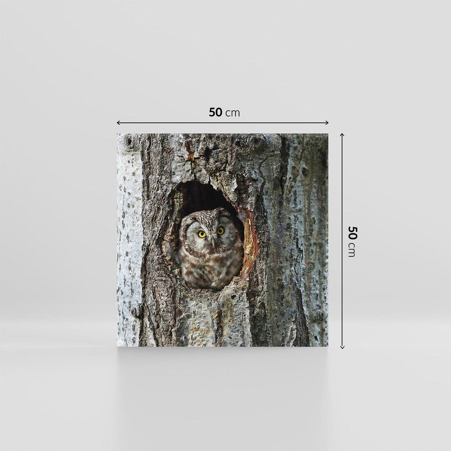 Obraz na płótnie 50x50 - Tajemniczy W świecie Nocy - sowa, dziupla