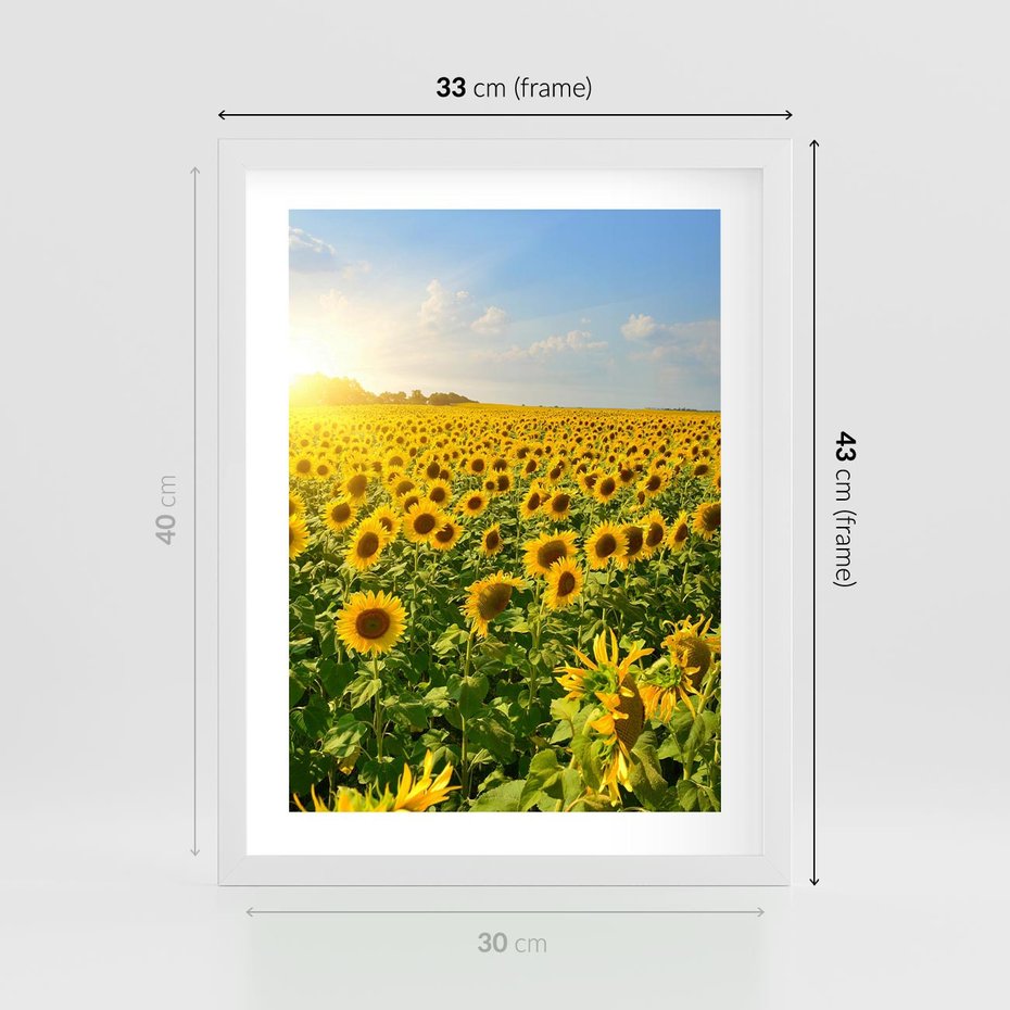 Plakat w ramie 30x40 - Idylla na łące słoneczników - łąka, słoneczniki - rama biała