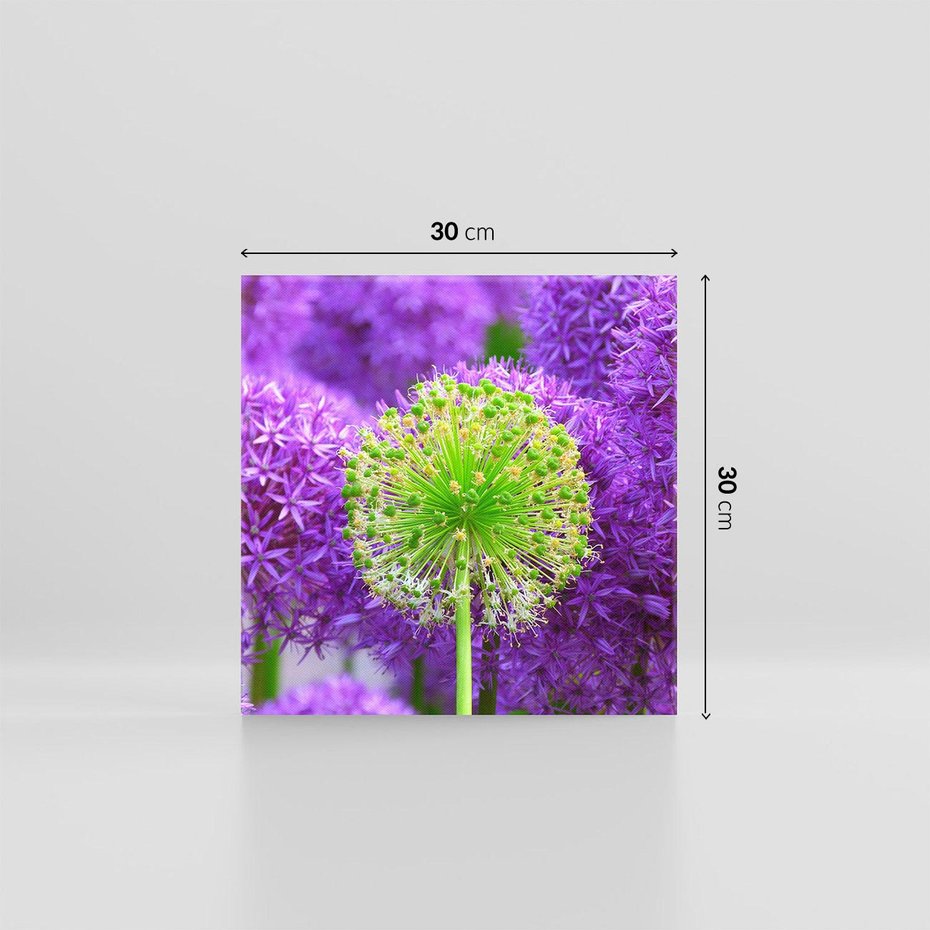 Obraz na płótnie 30x30 - Kwiatowy Raj - kwiat, kwiaty