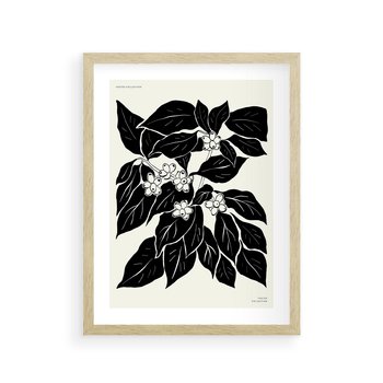 Plakat w ramie 50x70 - Ruchome szkicowe odbicia - czarno biała grafika, roślinność - rama drewno