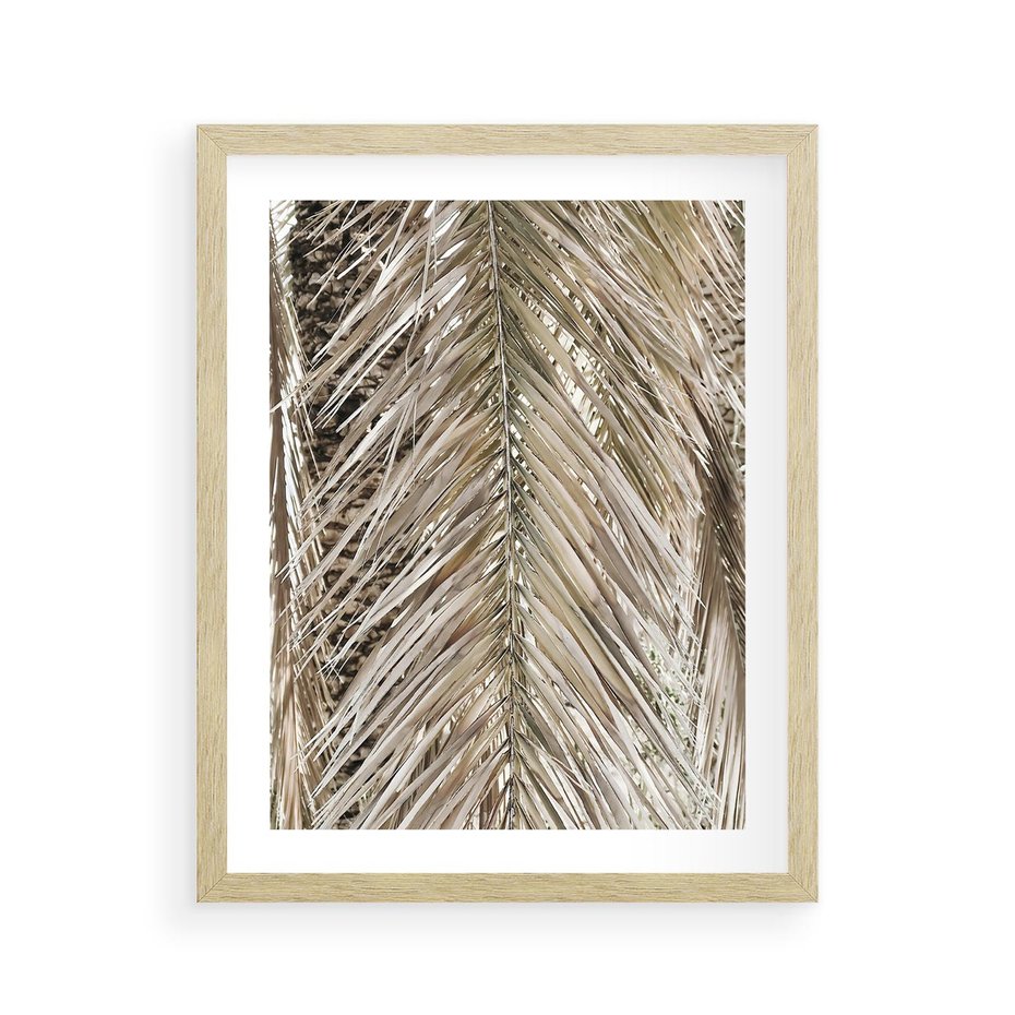 Plakat w ramie 40x50 - Boho Urok Palmy: Zbliżenie Natury - sucha palma, zbliżenie - rama drewno