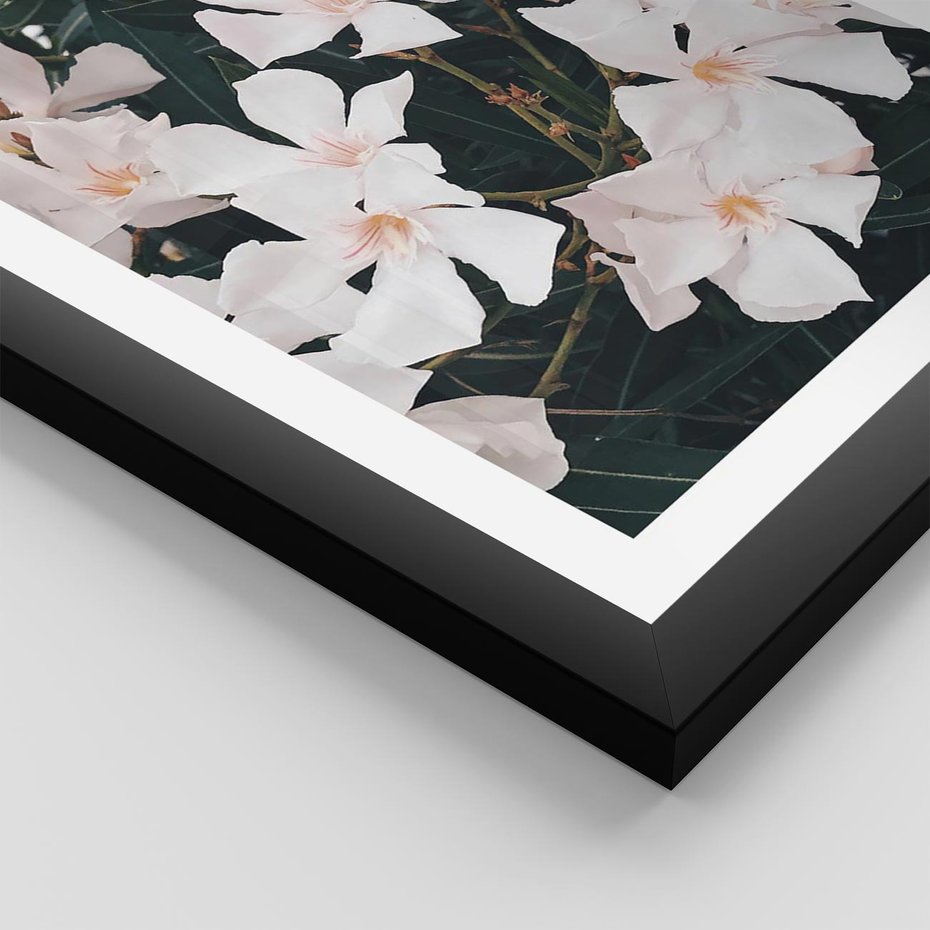 Plakat w ramie 40x50 - Egzotyczna Uroda - białe kwiaty, tropikalne kwiaty - rama czarna