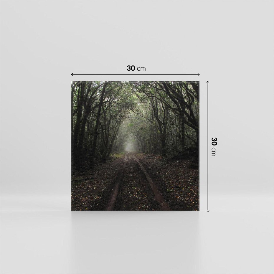 Obraz na płótnie 30x30 - Urok Drogi - las, droga
