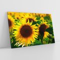 Obraz na płótnie 120x80 - Słonecznikowa Energia - słonecznik, kwiat