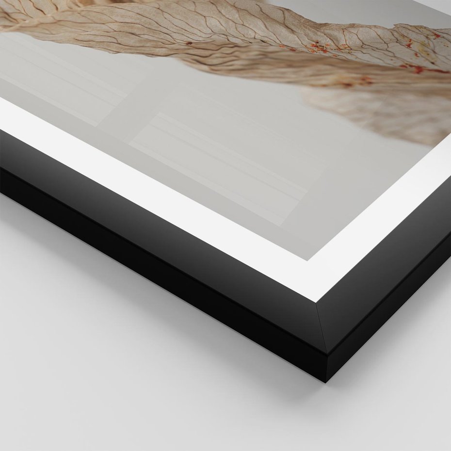 Plakat w ramie 30x40 - Suszone piękno - susz, suche - rama czarna