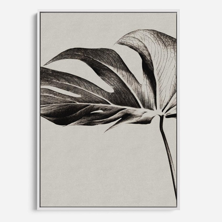 Obraz w ramie 50x70 - Szepczący Liść - szkic, czarno biały - rama biała