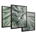 Zestaw obrazy w ramie 50x70 galeria - Palmy, liście, zielone - rama czarna