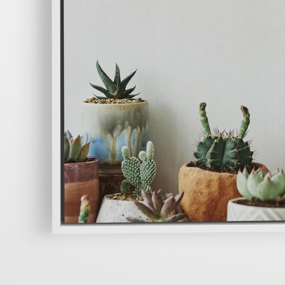 Obraz w ramie 80x80 - Naturalna Harmonia - kaktusy, liście - rama biała