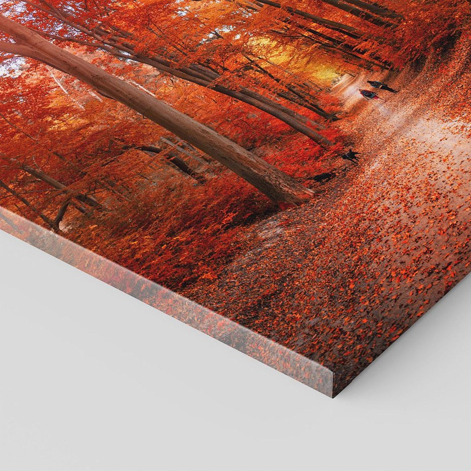 Obraz na płótnie 50x70 - Magia jesiennego lasu - las, jesień