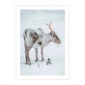 Plakat bez ramy 30x40 - Magia Świąt - renifer na śniegu, śnieg