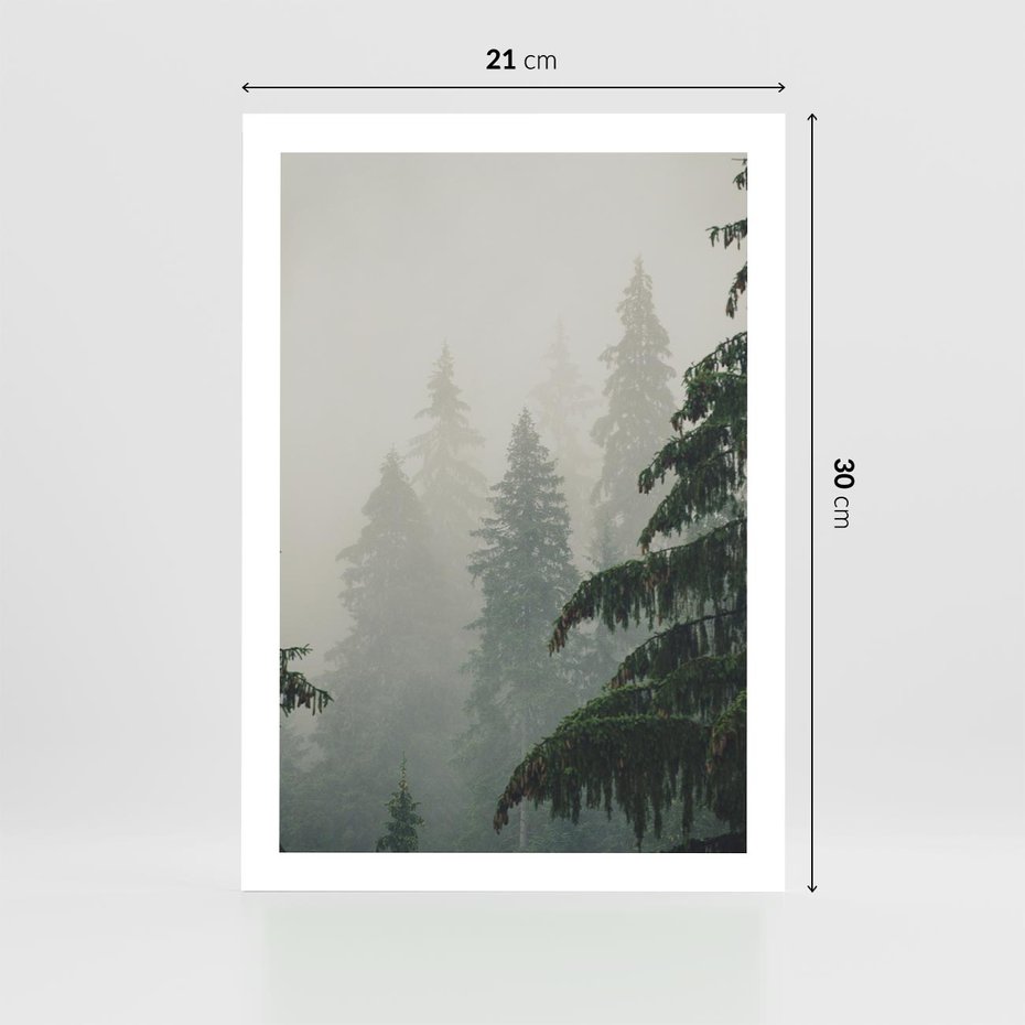 Plakat bez ramy 21x30 - Mglista przemiana lasu - las, mgła