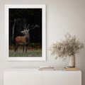 Plakat bez ramy 21x30 - Spotkanie z naturą - jeleń, las