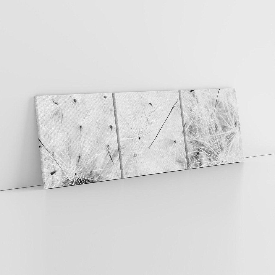 Obraz na płótnie 90x30 - Zdmuchnięty Puch - dmuchawce, delikatne