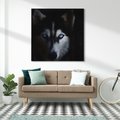 Obraz na płótnie 30x30 - Wilk i husky: siła przyjaźni - wilk, husky