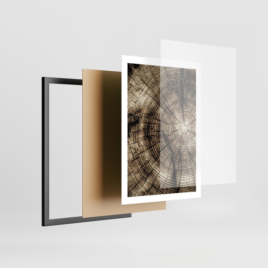 Plakat w ramie 50x70 - Natura Pod Lupą - pień drzewa, przekrój - rama czarna