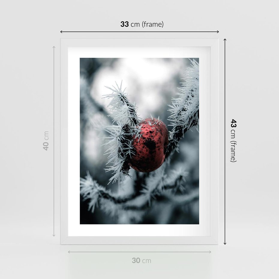 Plakat w ramie 30x40 - Chwila Zimowego Uroku - zima, ośnieżona gałązka - rama biała